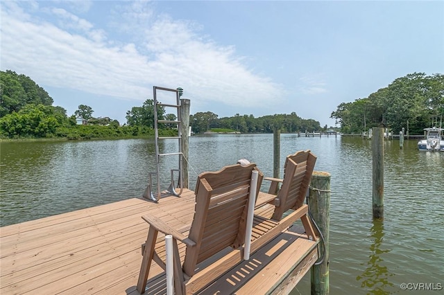 781 Coan Haven Rd, Lottsburg, VA 22511 - photo 48