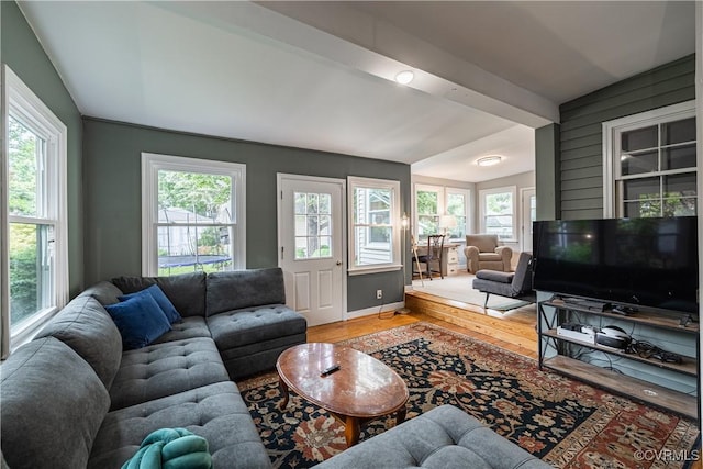 5013 Caledonia Rd, Richmond, VA 23225 - living area with vaulted ceiling and light wood-style floors