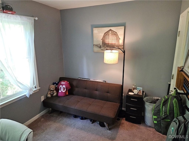 7106 Full Rack Dr, Midlothian, VA 23112 - living area with carpet and healthy amount of natural light