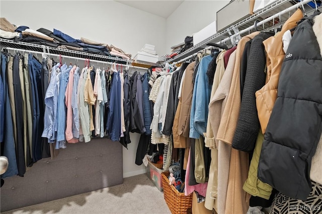 8034 Wistar Glen Dr Unit A, Henrico, VA 23228 - spacious closet with carpet