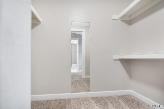 107 Oak Ridge Ct, Williamsburg, VA 23188 - spacious closet featuring carpet