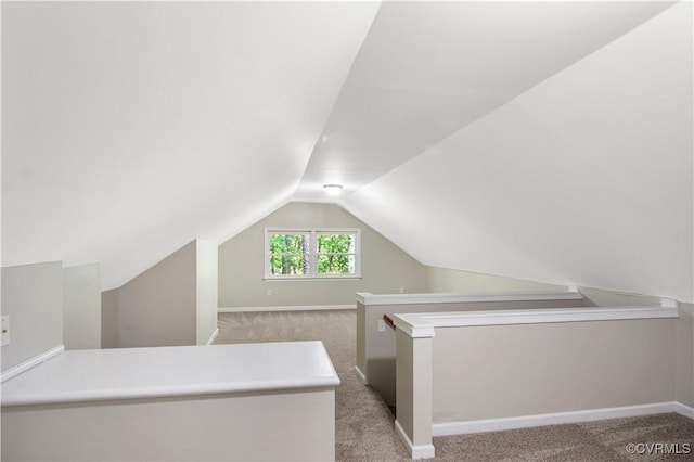 107 Oak Ridge Ct, Williamsburg, VA 23188 - additional living space with carpet flooring and vaulted ceiling
