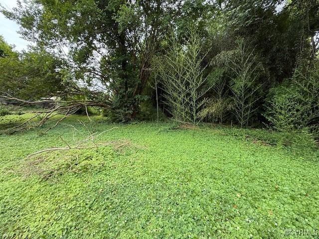 111 Carroll St, Emporia, VA 23847 - photo 18