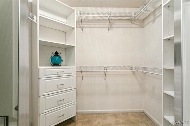 262 Claiborne Dr, Williamsburg, VA 23185 - spacious closet featuring light colored carpet