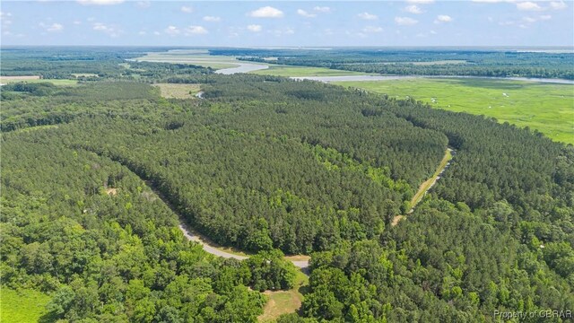 LOT24 Plantation Pl, Little Plymouth, VA 23091 - photo 14