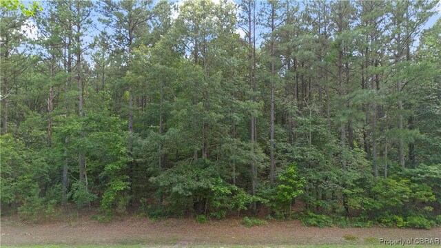 LOT24 Plantation Pl, Little Plymouth, VA 23091 - photo 15
