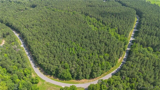 LOT24 Plantation Pl, Little Plymouth, VA 23091 - photo 18