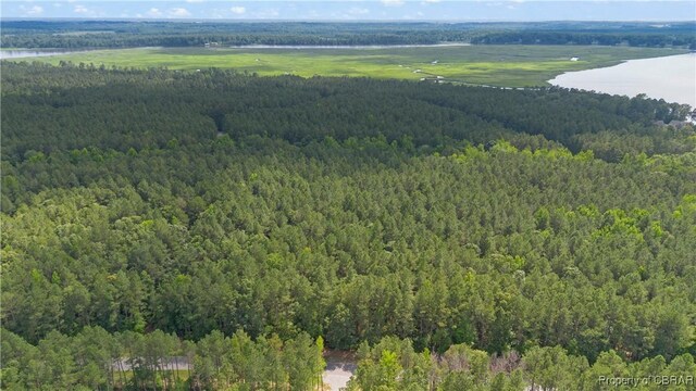 LOT24 Plantation Pl, Little Plymouth, VA 23091 - photo 24