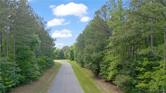 LOT24 Plantation Pl, Little Plymouth, VA 23091 - photo 11