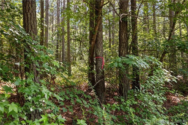 LOT24 Plantation Pl, Little Plymouth, VA 23091 - photo 4