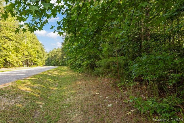 LOT24 Plantation Pl, Little Plymouth, VA 23091 - photo 5