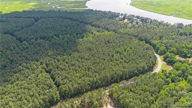 LOT24 Plantation Pl, Little Plymouth, VA 23091 - photo 10