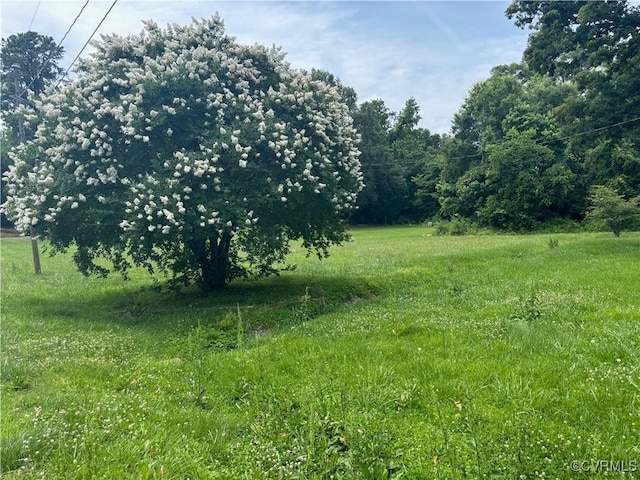 6690 4th Ave, Henrico, VA 23231 - view of undeveloped land