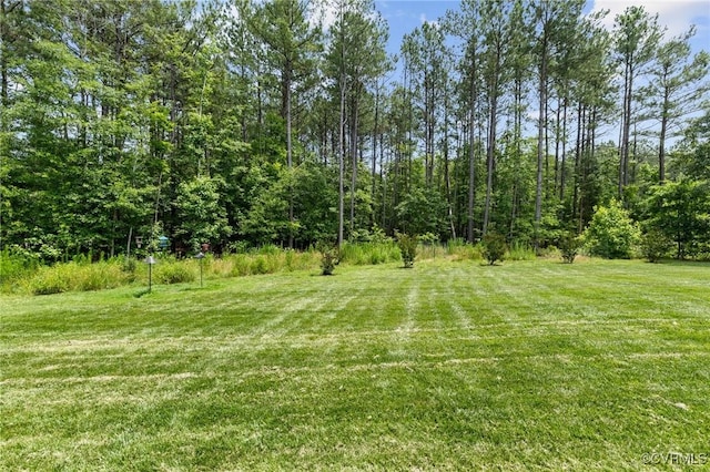 8000 Clancy Pl, Chesterfield, VA 23838 - view of grassy yard
