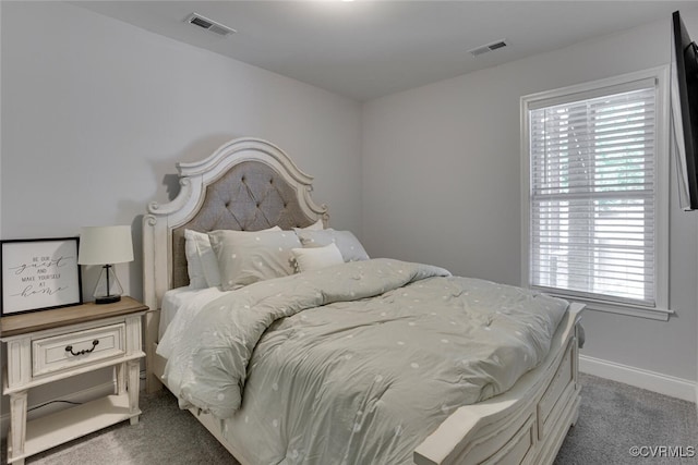 6504 Sanford Springs Cv, Midlothian, VA 23112 - carpeted bedroom featuring multiple windows