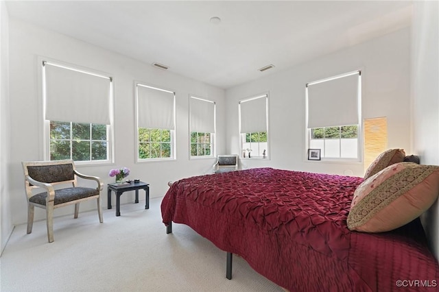 2417 E Grace St, Richmond, VA 23223 - bedroom featuring carpet flooring