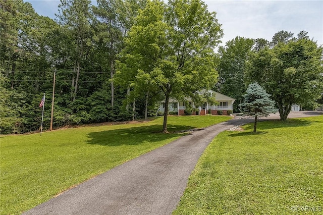 10151 W Providence Rd, North Chesterfield, VA 23236 - surrounding community with a lawn and asphalt driveway