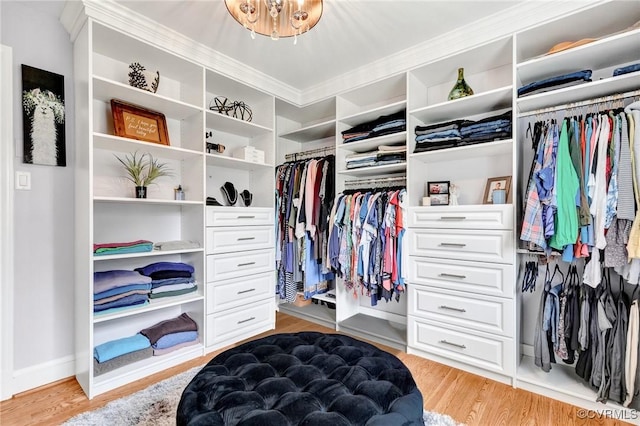 9065 Greenlake Cir, Mechanicsville, VA 23116 - walk in closet featuring light wood-type flooring