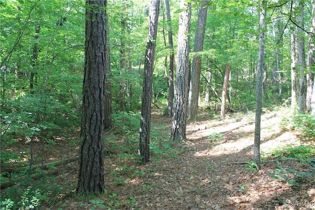 TBD Paynes Pond Rd, Scottsville, VA 24590 - photo 13