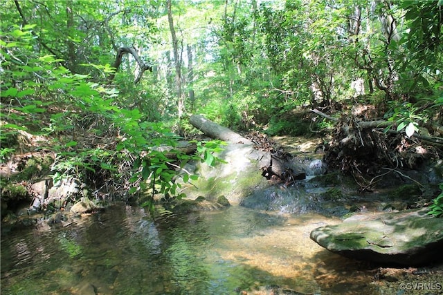 TBD Paynes Pond Rd, Scottsville, VA 24590 - photo 15