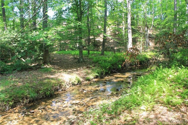 TBD Paynes Pond Rd, Scottsville, VA 24590 - photo 17