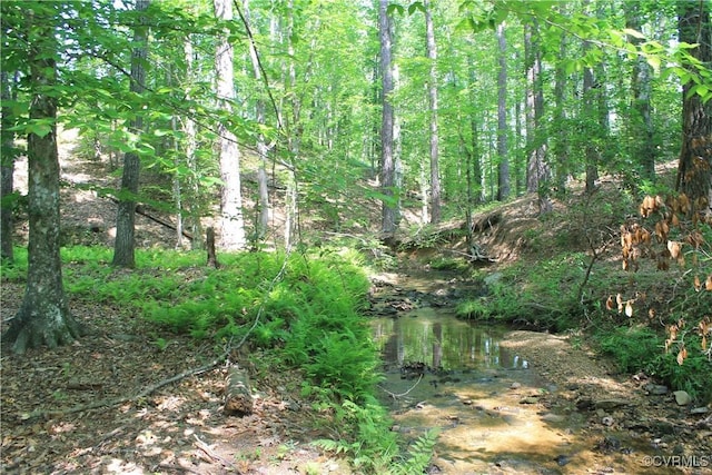TBD Paynes Pond Rd, Scottsville, VA 24590 - photo 18