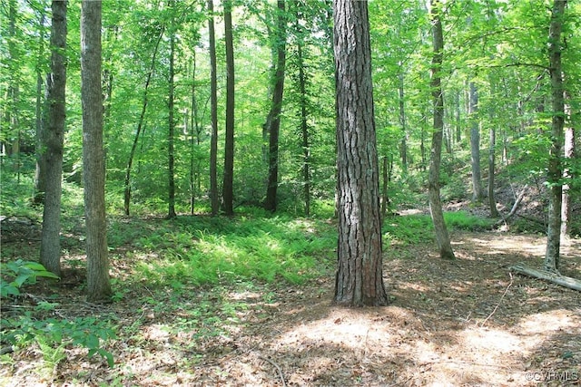 TBD Paynes Pond Rd, Scottsville, VA 24590 - photo 19