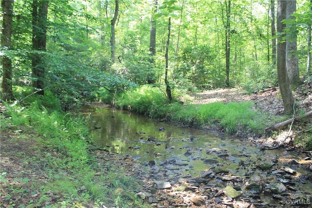 TBD Paynes Pond Rd, Scottsville, VA 24590 - photo 20