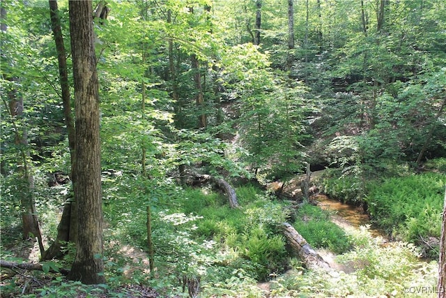 TBD Paynes Pond Rd, Scottsville, VA 24590 - photo 22