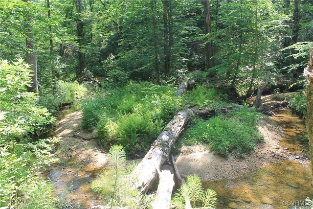 TBD Paynes Pond Rd, Scottsville, VA 24590 - photo 23