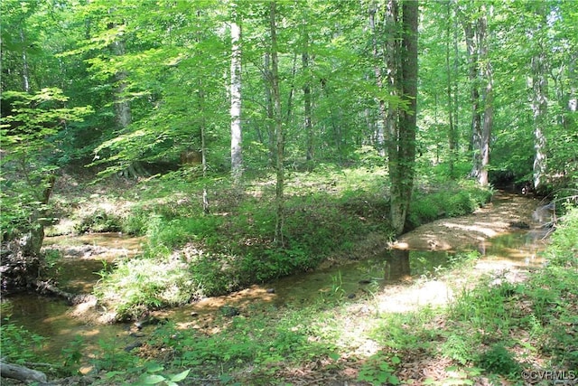 TBD Paynes Pond Rd, Scottsville, VA 24590 - photo 24