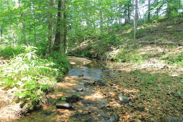 TBD Paynes Pond Rd, Scottsville, VA 24590 - photo 25
