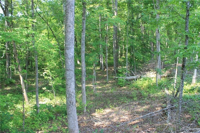 TBD Paynes Pond Rd, Scottsville, VA 24590 - photo 26