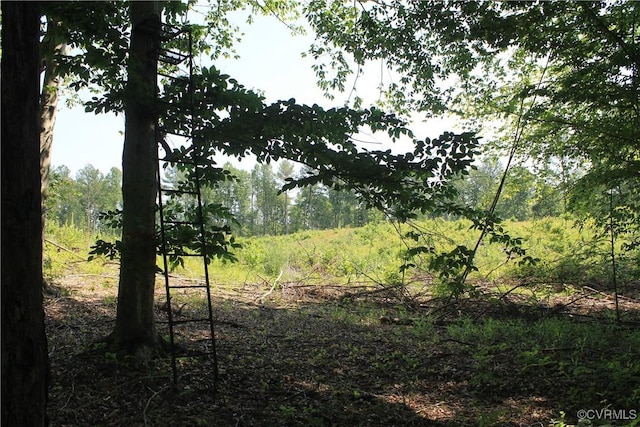TBD Paynes Pond Rd, Scottsville, VA 24590 - photo 27