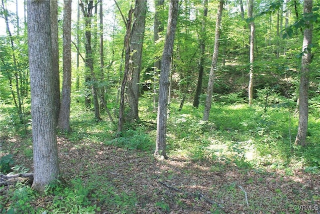 TBD Paynes Pond Rd, Scottsville, VA 24590 - photo 28