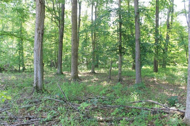 TBD Paynes Pond Rd, Scottsville, VA 24590 - photo 29