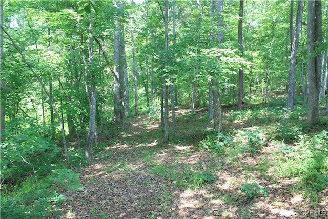 TBD Paynes Pond Rd, Scottsville, VA 24590 - photo 30