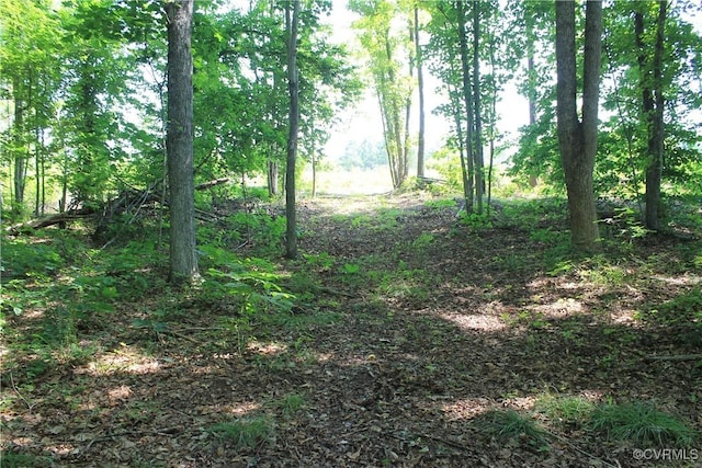 TBD Paynes Pond Rd, Scottsville, VA 24590 - photo 31