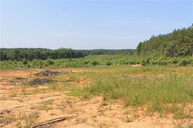 TBD Paynes Pond Rd, Scottsville, VA 24590 - photo 41