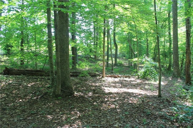 TBD Paynes Pond Rd, Scottsville, VA 24590 - photo 33
