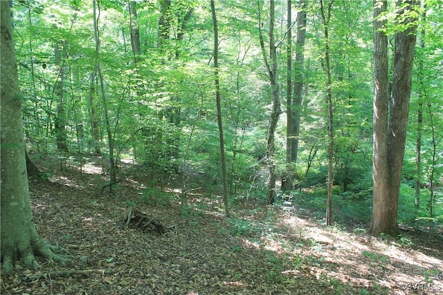 TBD Paynes Pond Rd, Scottsville, VA 24590 - photo 34