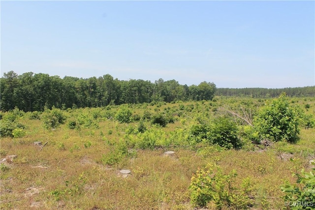 TBD Paynes Pond Rd, Scottsville, VA 24590 - photo 36