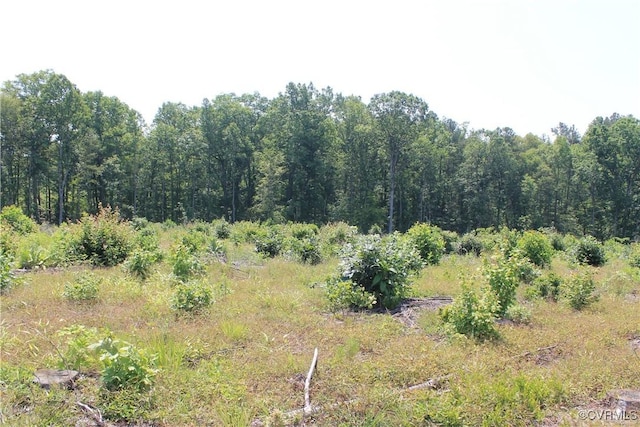 TBD Paynes Pond Rd, Scottsville, VA 24590 - photo 37