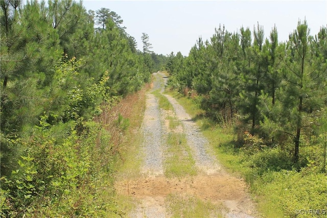 TBD Paynes Pond Rd, Scottsville, VA 24590 - photo 42