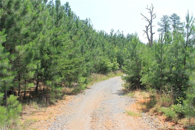 TBD Paynes Pond Rd, Scottsville, VA 24590 - photo 43