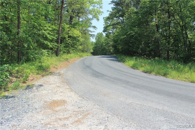 TBD Paynes Pond Rd, Scottsville, VA 24590 - photo 45