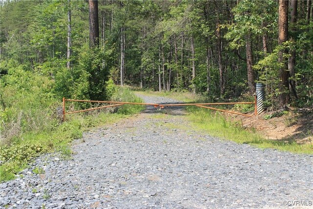 TBD Paynes Pond Rd, Scottsville, VA 24590 - photo 46