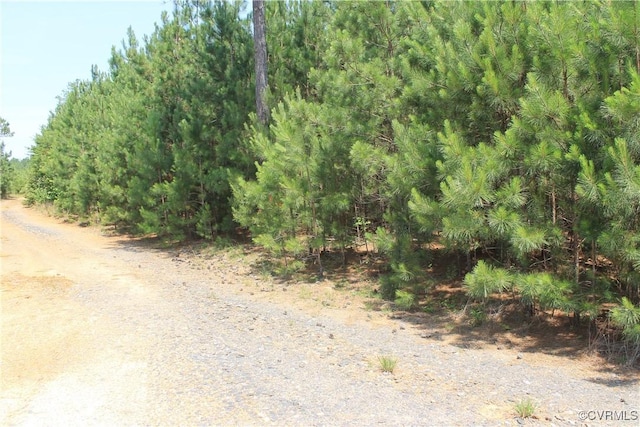 TBD Paynes Pond Rd, Scottsville, VA 24590 - photo 47