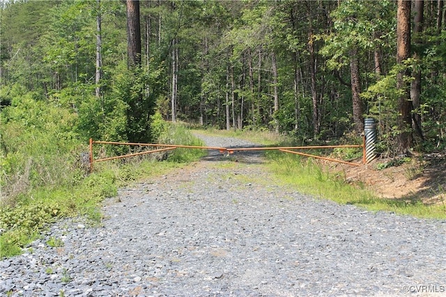 TBD Paynes Pond Rd, Scottsville, VA 24590 - photo 2