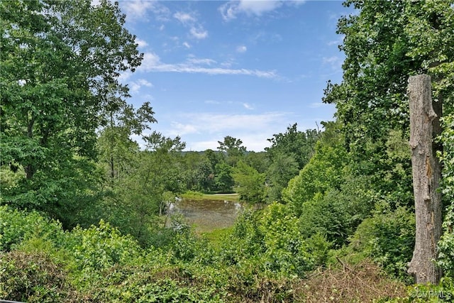 11700 Anchor Landing Ct, Chesterfield, VA 23836 - photo 12